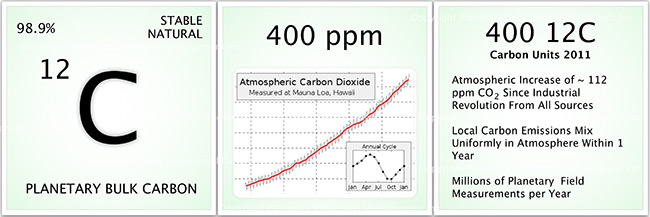 Measurement Verification Accounting For Co2 The Direct Measurement Forest Carbon Protocol Planet Alpha Corp Forest Carbon Legacy